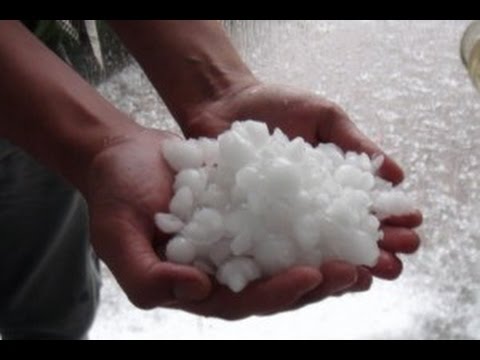 განადგურებული მოსავალი-შიდა ქართლში სტიქიის შედეგებს ითვლიან 27.05.2016