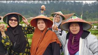 OLE OLE BANDUNG(Pattie Bersaudara) WARDI (Video -Lawatan Dari KL ke Bandung) 10-13 Disember 2017