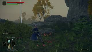 Alexander Potboi wasnt present in the Elden Ring Network Test