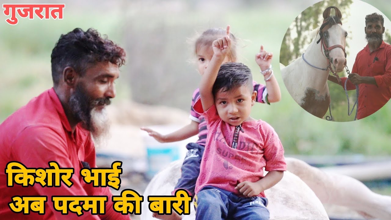 किशोर भाई की जयमंगल पदमा घोड़ी ( गुजरात )