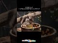 むしゃむしゃむしゃ・・・