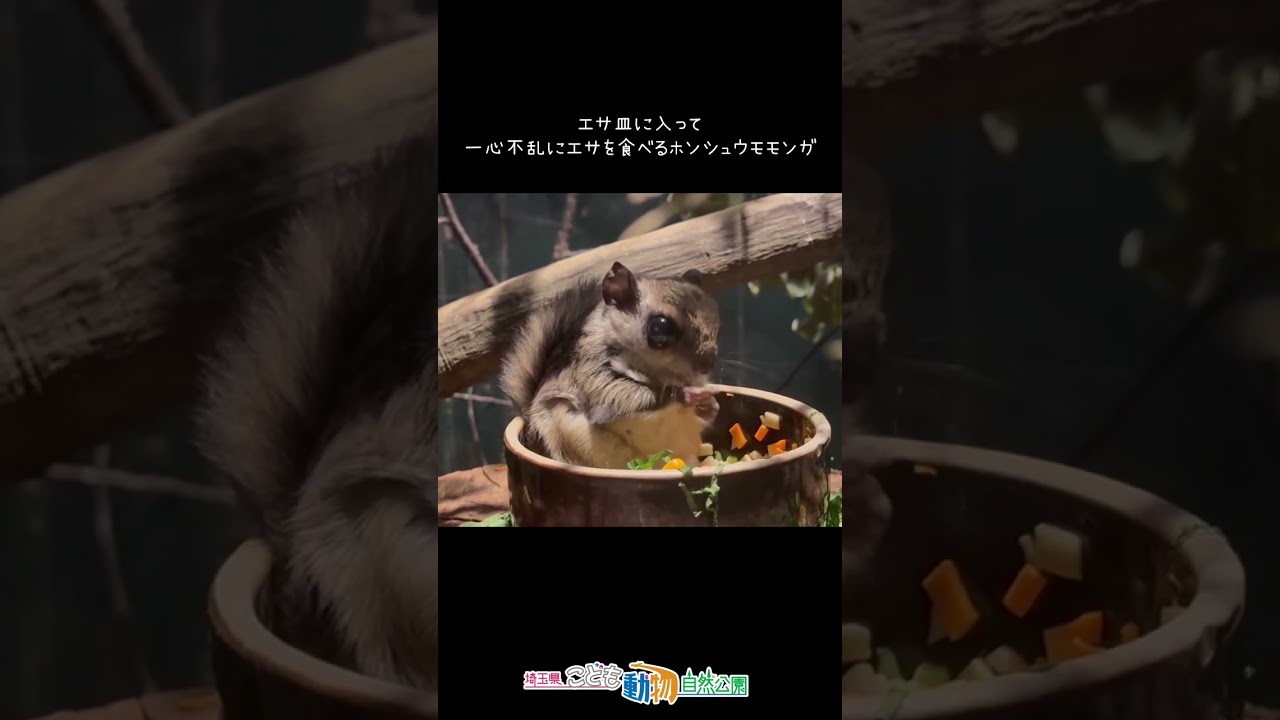 むしゃむしゃむしゃ・・・