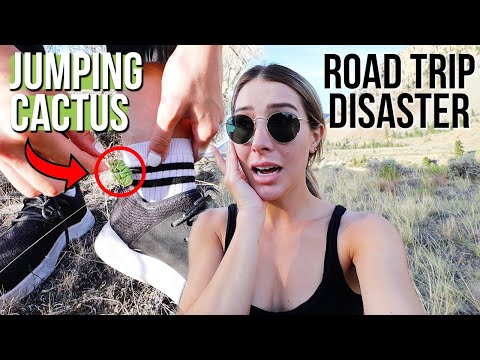 JUMPING CACTUS ATTACK On ROAD TRIP In British Columbia (These Are Real?!)