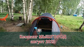 картинка: Поехали в кемпинг Мышгород с детьми, август 2023
