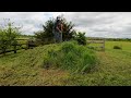 Country Mowing Crazy Overgrown Grass in Field and Around Pond - Cutting Tall Grass