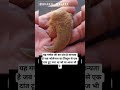 🕉ओम नमो भगवते वासुदेवाय😱 #om #facts #viral