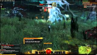 GW2 champion rotting anchient oakheart