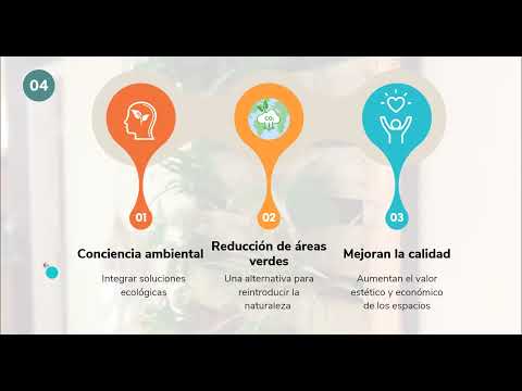 8 de diciembre de 2024
