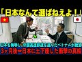 【海外の反応】「高すぎるからキャンセルでw」日本を蹴ったベトナムの悲劇。14年放置された線路と、隣国の"崩壊"を見て気づいた真実....