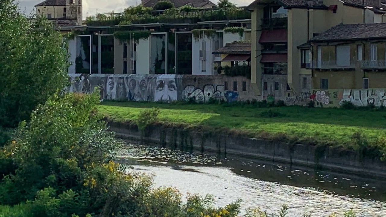 STREET ART L’ARTE va compresa, la creatività rende liberi.Il grande genio Bansky ne e’ precettore.✨