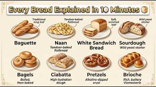 Famous Every Bread Explained in 10 Minutes! π Net Worth
