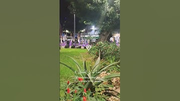 سورة يونس (56-57) ♡