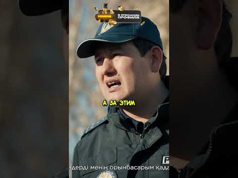 Если они нарушили закон - оформлять по полной | Патруль #кино #новыесериалы #сериал #фильм