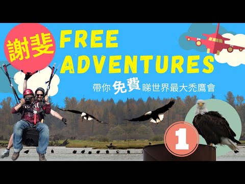 [謝斐&rsquo;s Free Adventures] #  ( English Subtitles )  # Harrison Mills Eagle Festival # 教你免費自助遊  # 中英文字幕