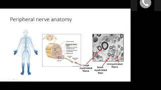 Peripheral Neuropathy Workshop
