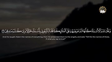 سورة البقرة لتحصين البيوت وطرد الشياطين - القارئ اياد مهرة || Surah Al-Baqarah by Eyad Mohra