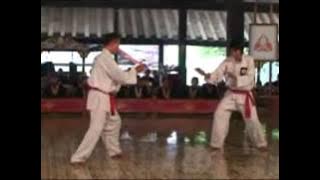 Demo Beladiri di keraton Mas Joko Widodo Perisai Diri DIY