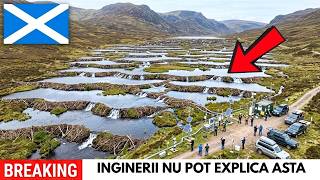 Scoția A Eliberat 11 Castori Într-Un Râu Mort Ceea Ce Au Făcut Din Noroi Și Bete A Fost Nebunesc