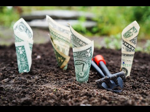 Make Money with