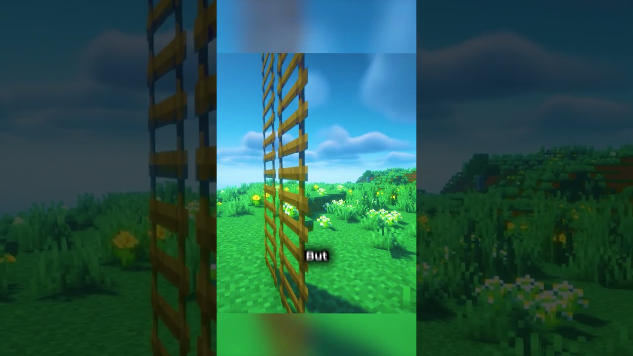 🪜 LADDER IS A VERY STRANGE BLOCK IN MINECRAFT! | PETROVSKIY SHORTS