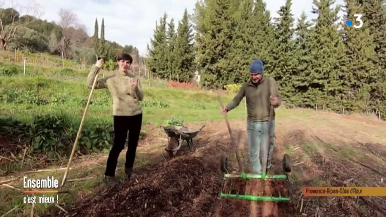 Saint-Cyr-Sur-Mer : la poire de terre