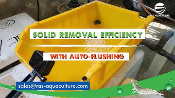 Unleashing Solid Removal Mastery: PISB Boxes & Automated Flushing for Peak Efficiency