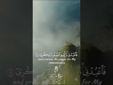 سوره طه آيه رائعه بصوت القارئ أدهم محمود