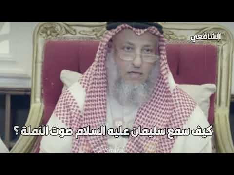 كيف سمع سليمان عليه السلام صوت النملة عثمان الخميس
