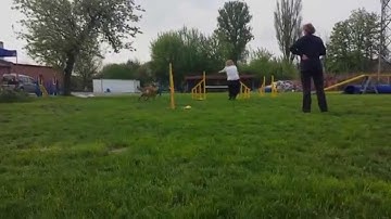 Ceri, Łódź 26-27.04.2014