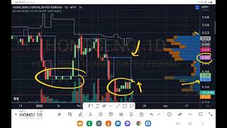 HONGSENG 懂得买入，更要懂得何时卖出! 聊聊跟庄术. 盘后筹码主力线技术分析.11032023.