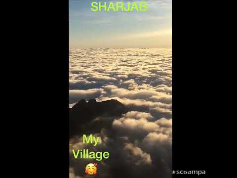 صباح شتوي رائع في شرف شرجب الحجرية تعز