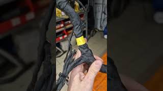 Разбираем Электрику Brp