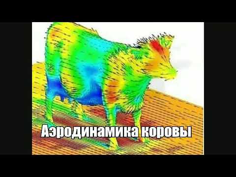Аэродинамика коровы