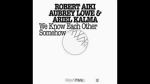 Robert Aiki Aubrey Lowe & Ariel Kalma - FRKWYS Vol...