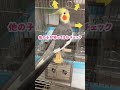 【オカメインコ】なな、消灯の儀 #寝室誘導