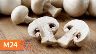 Какие шампиньоны можно покупать в магазине - Москва 24 Какие шампиньоны можно покупать в магазине - Москва 24