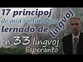 17 principoj de mia metodo por lernado de fremdaj lingvoj: ESPERANTO kun subtekstoj