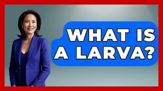 What Is A Larva? - The Marine Life Explorer