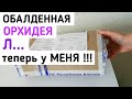 НЕРЕАЛЬНАЯ ОРХИДЕЯ с фиолетовой губой теперь МОЯ