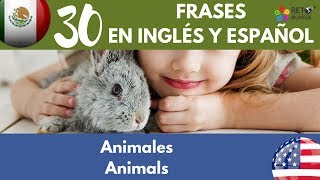 119: Los Animales, Frases en inglés y español