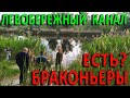 Левобережный канал - есть ли там браконьеры? Мини рейд с рыбинспекцией