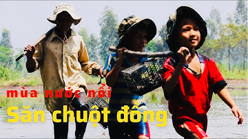 Mùa nước nổi dỡ chà bắt chuột đồng | Mồi Hoang Rau Dại | Viet Nam Discovery Channel