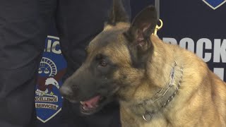 Grade schooler raises money to buy vests for Rockford K9 officers