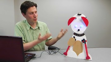 Hummingbird Intermediate: Dog