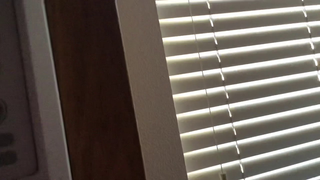 Extremely loud microwave YouTube