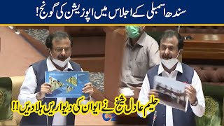 Haleem Adil Shiekh Blasting Speech In Sindh Assembly | 25 June 2020