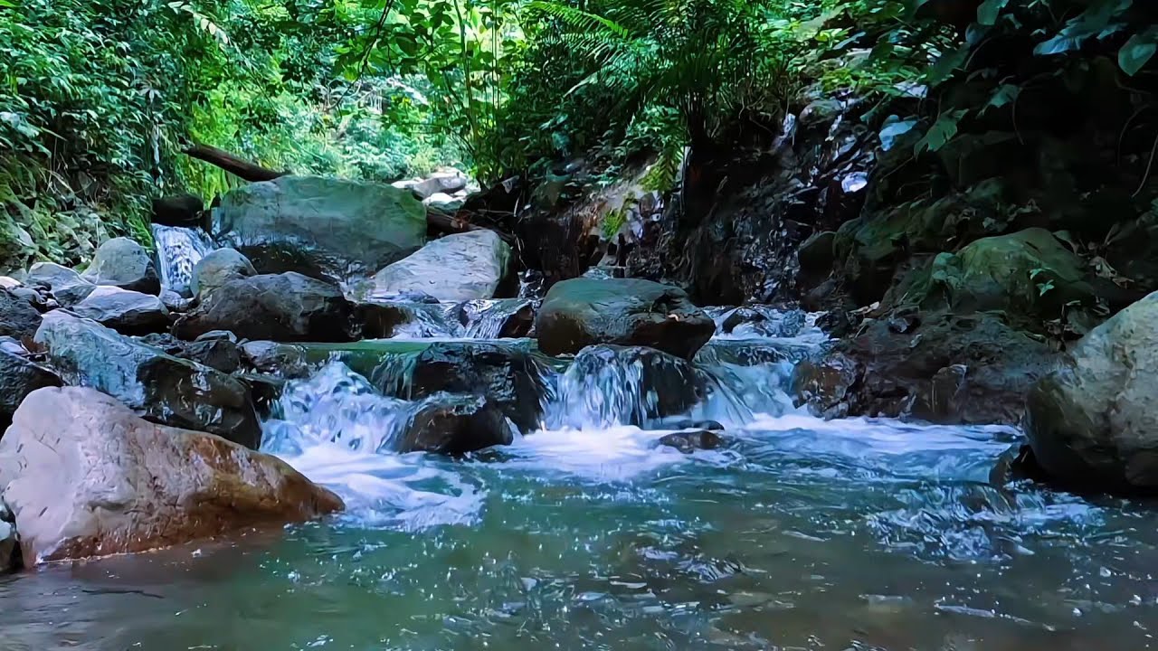 Calm River Flow for Meditation & Sleep - YouTube