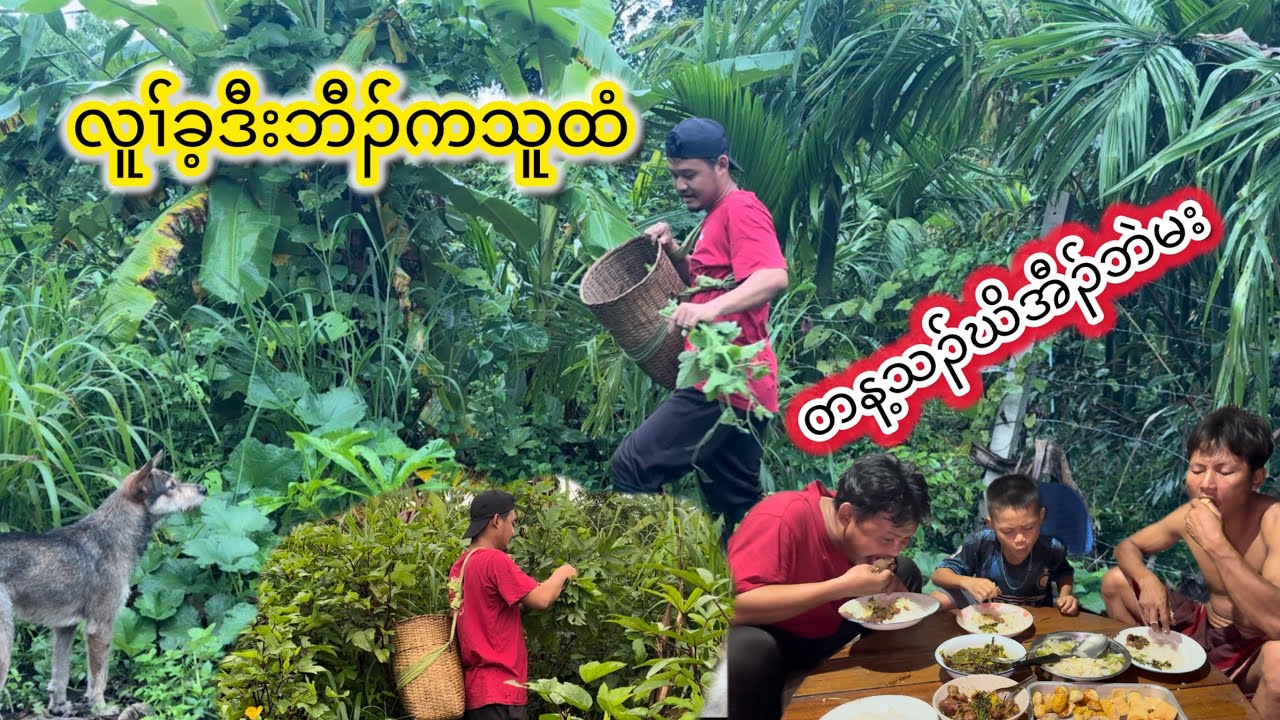 Let’s Cook And Eat With Natural Karen Foods For Our Dinner.