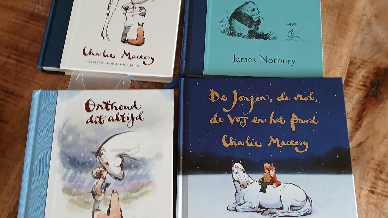 Vlogmasdag 22. Cristmasgiftquide