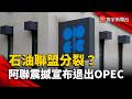 阿聯退出OPEC